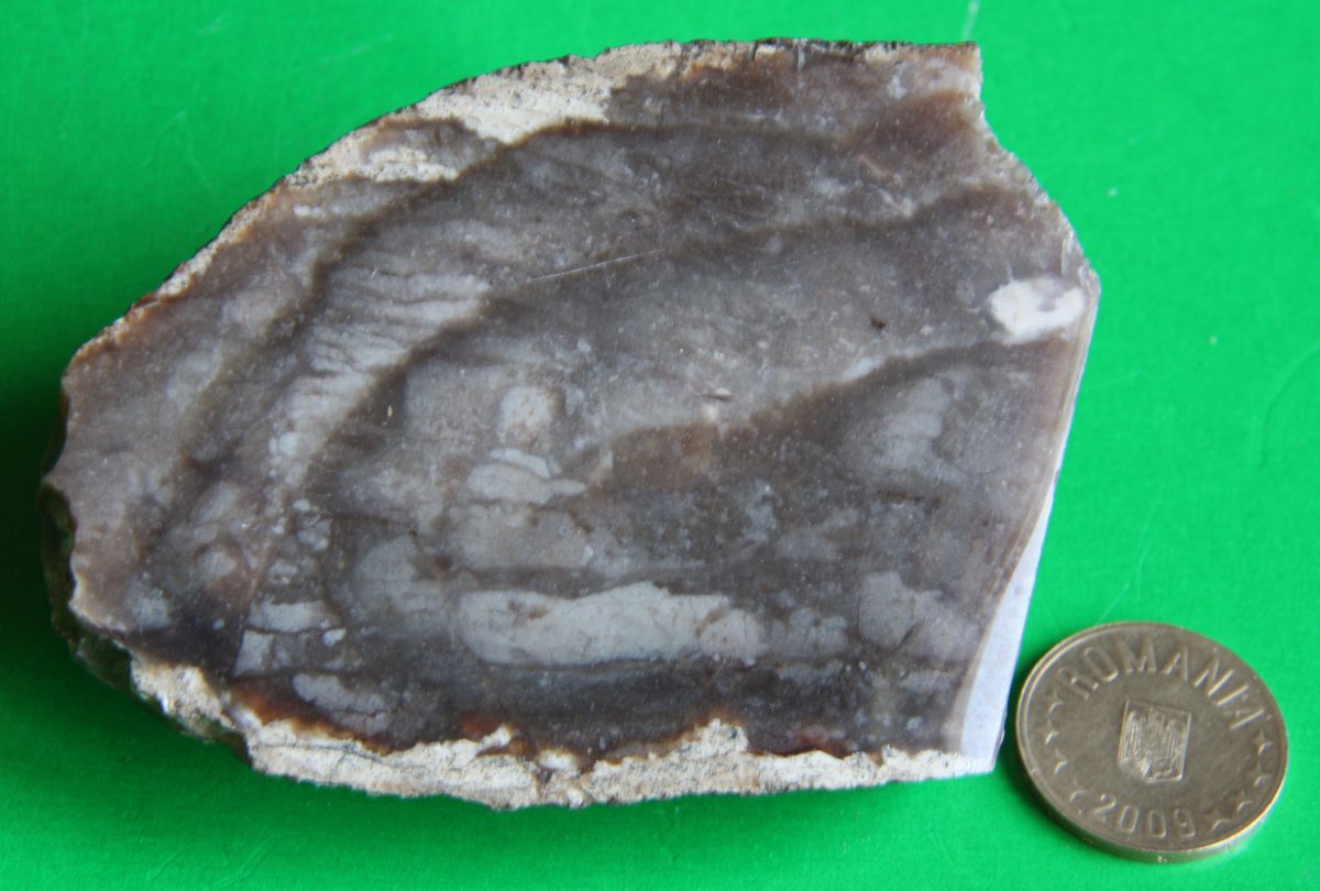 Sardonix (var. Calcedonie)