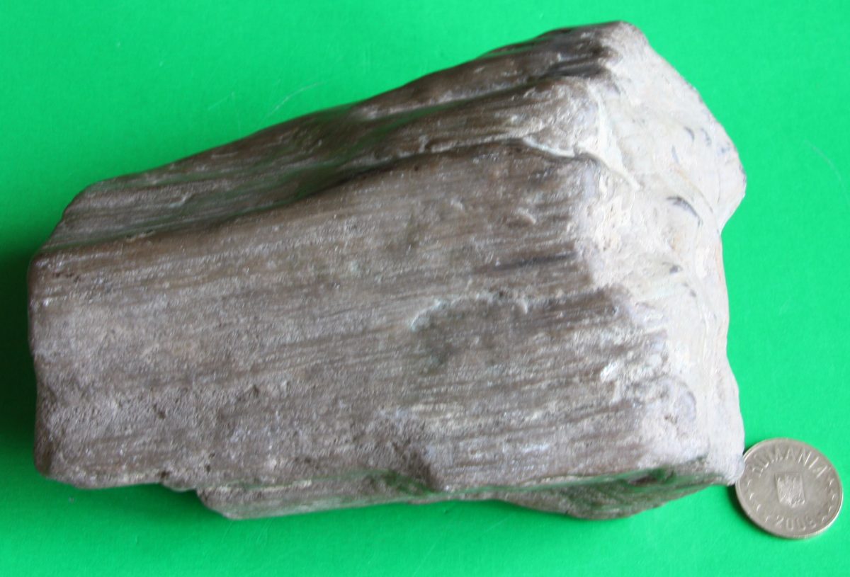 Lemn silicifiat