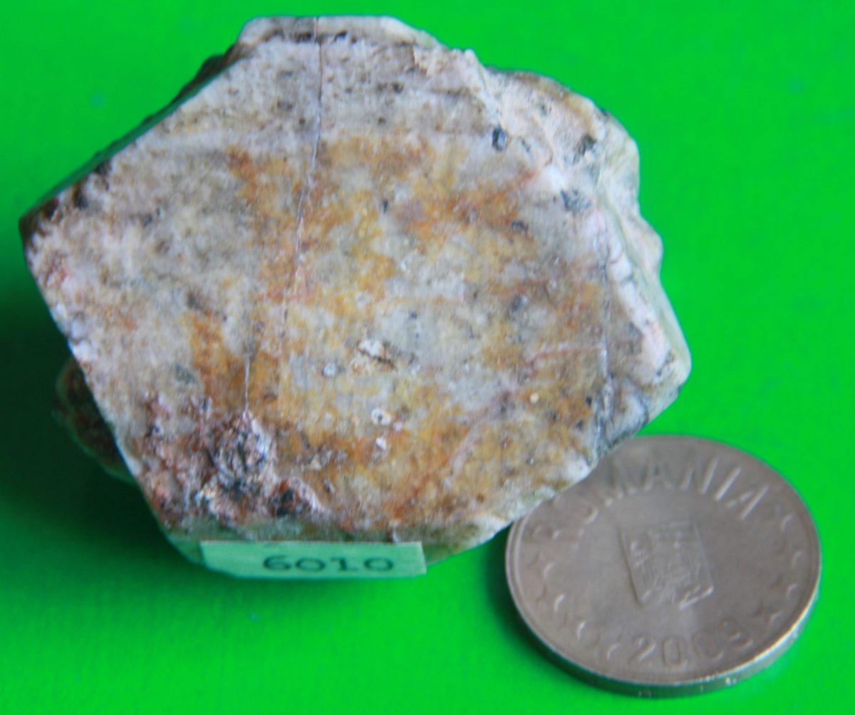 Ortoză