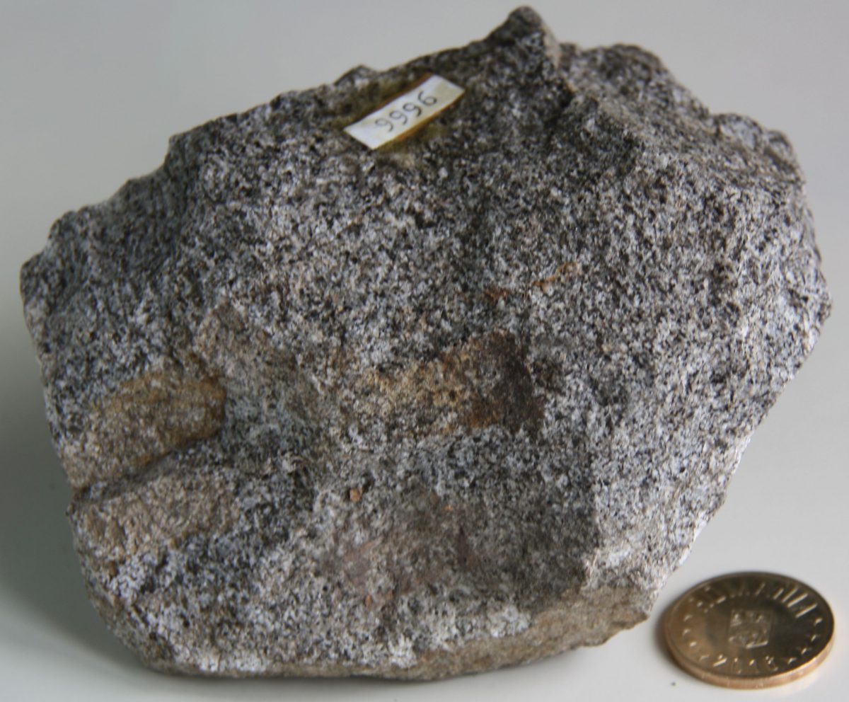 Paragnais