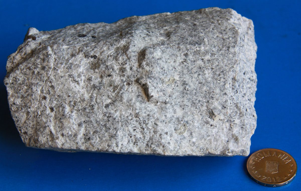 Granodiorit mineralizat
