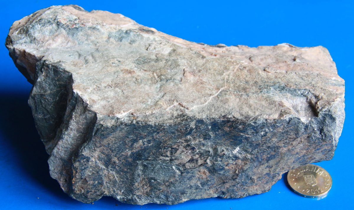 Minereu de mangan (Rodocrozit + Rodonit) în cuarţit negru