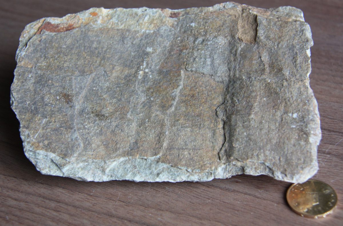 Şist sericito - cloritos