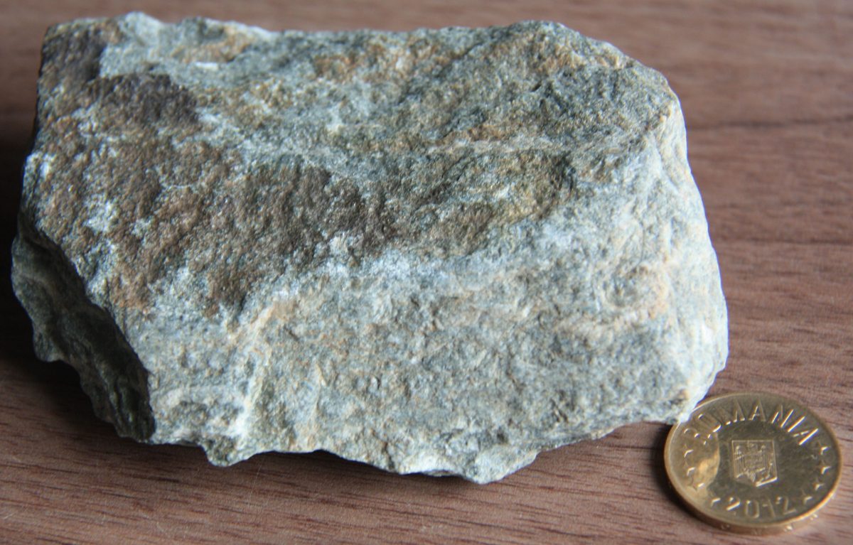 Metatuf riodacitic şistos