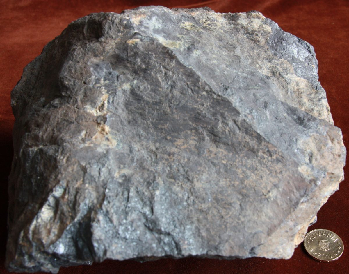 Cromit