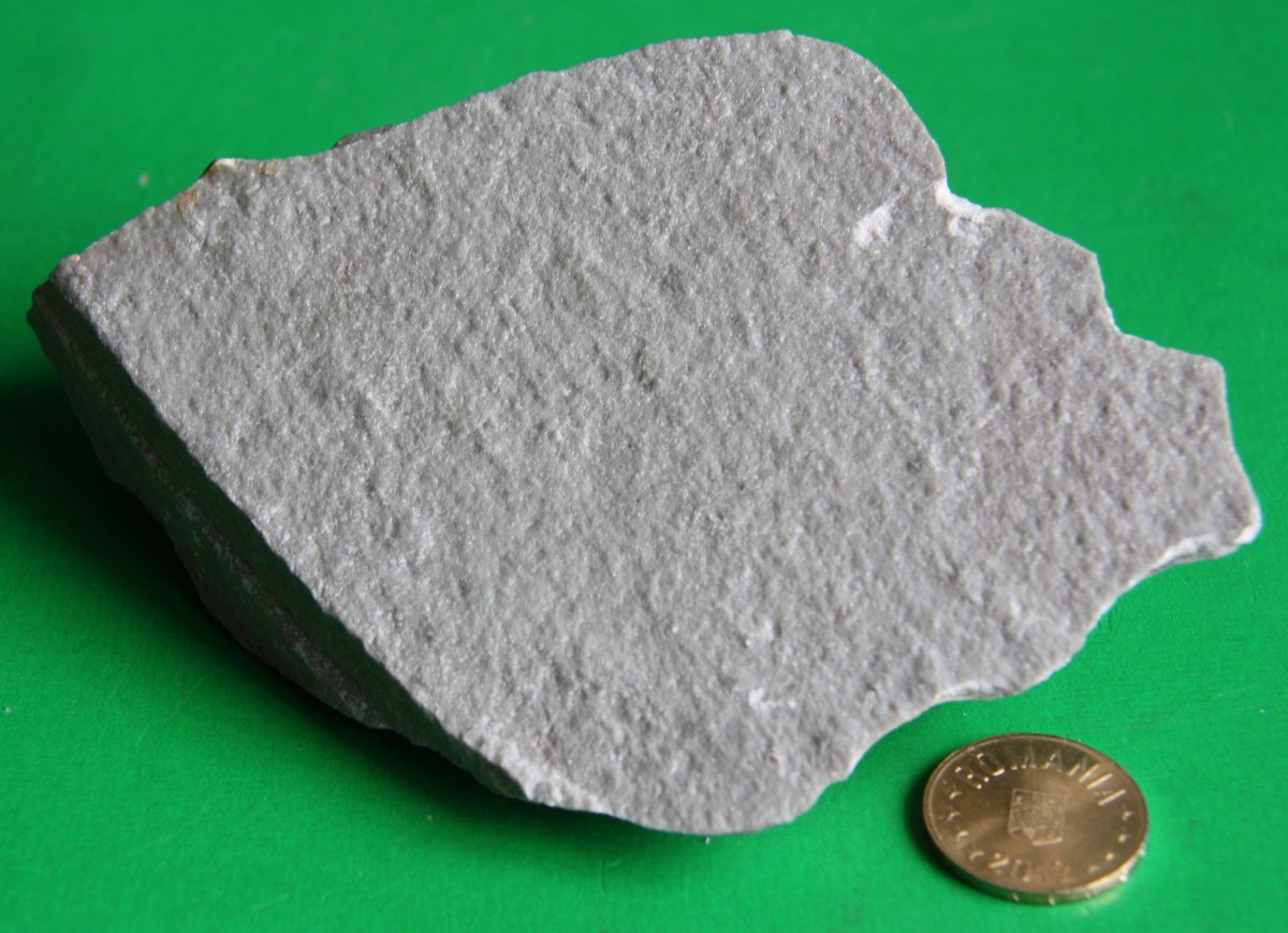 Şist microgrezos dolomitic