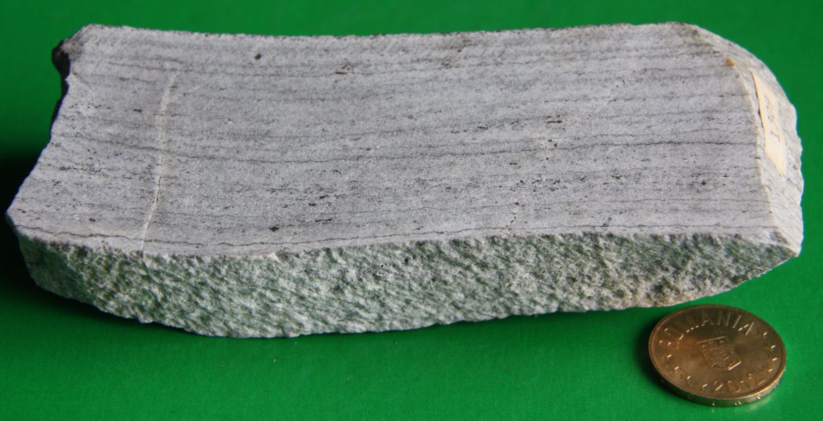Şist dolomitic silicios micaceu