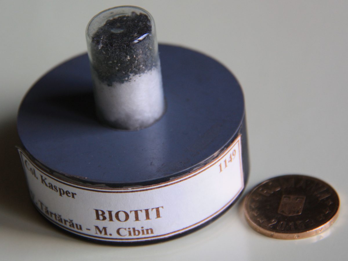 Biotit