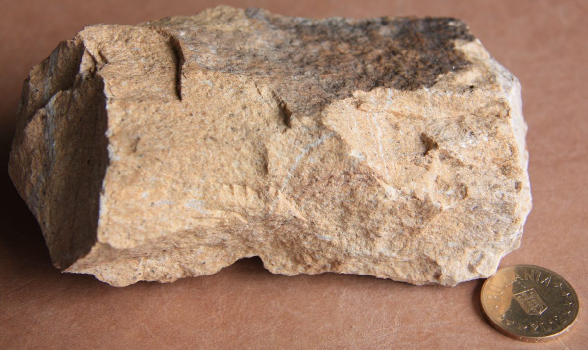 Porfir cuarţifer