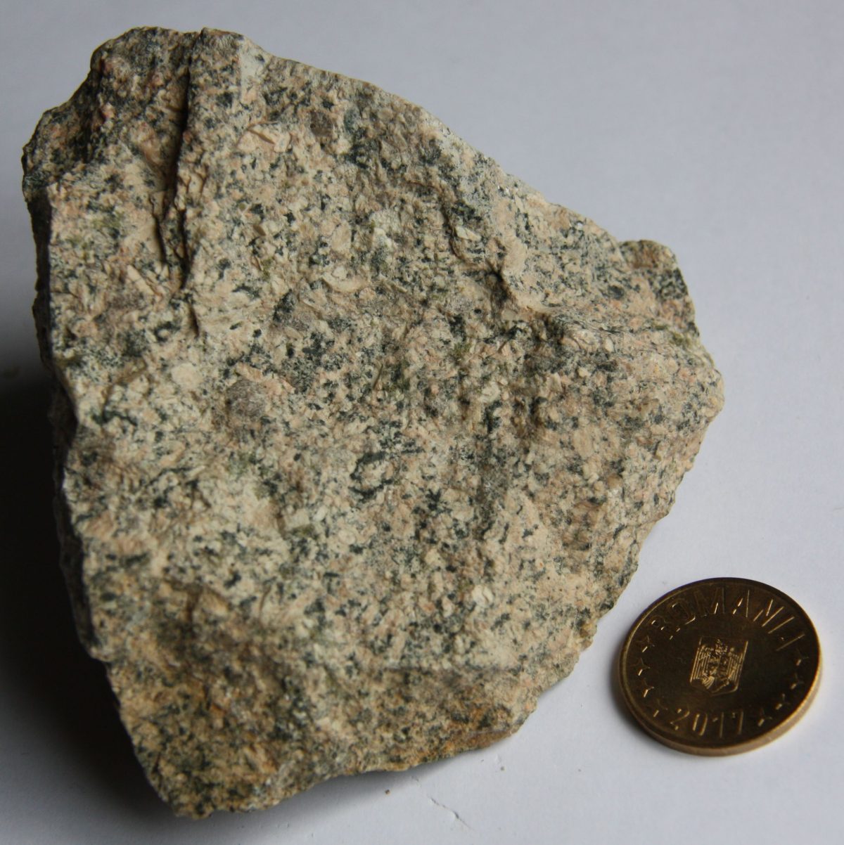 Monzodiorit