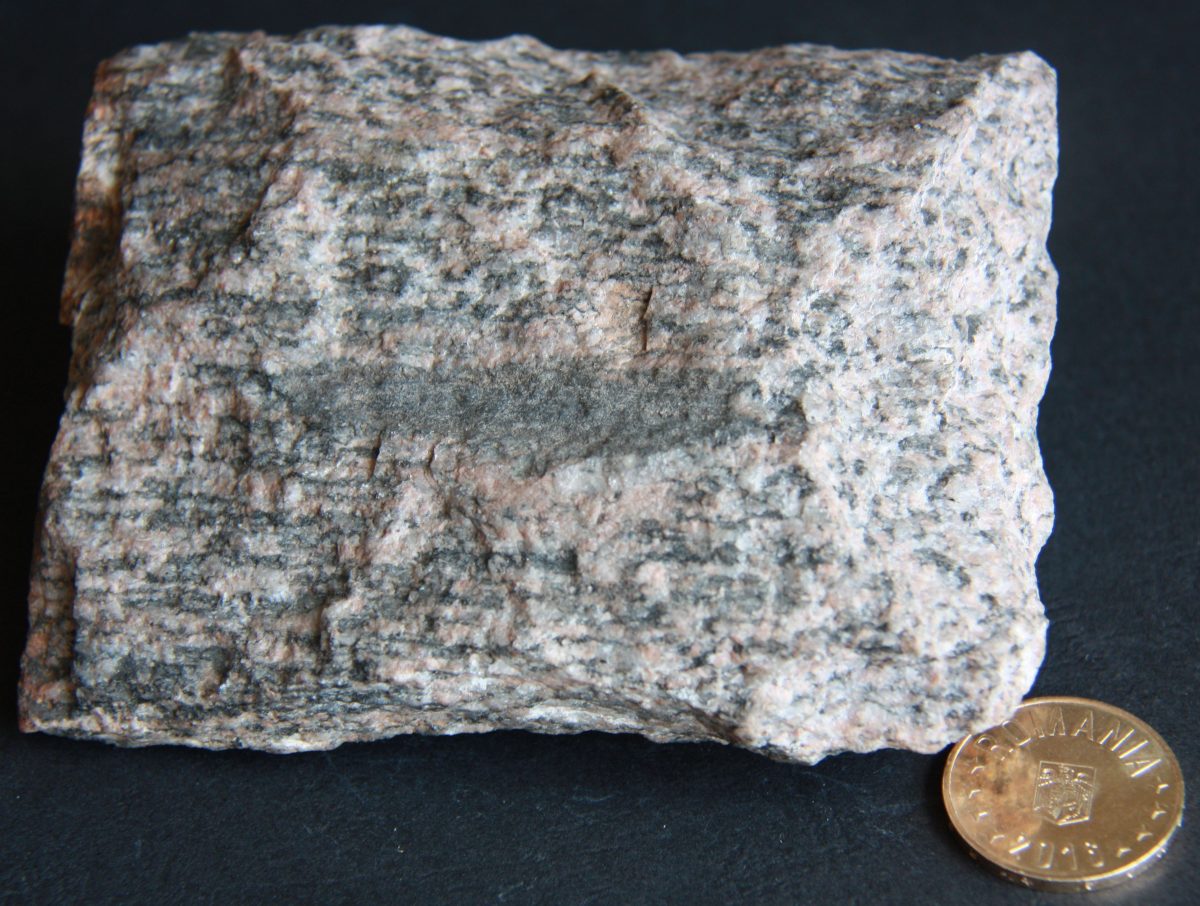 Gnais granitoid
