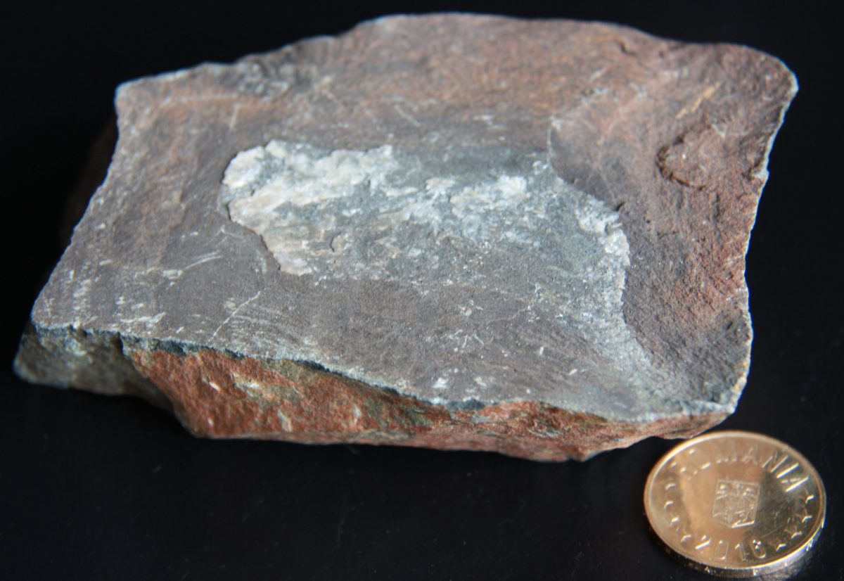Filit