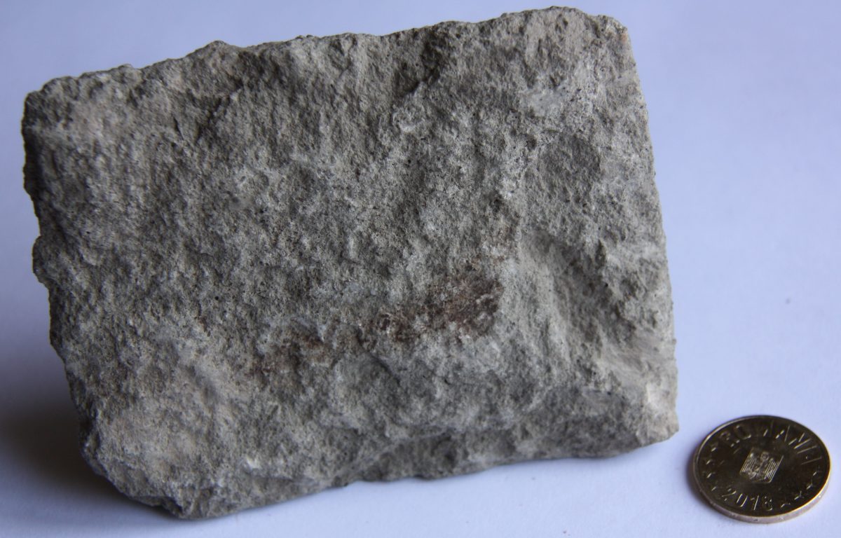 Tuf fonolitic