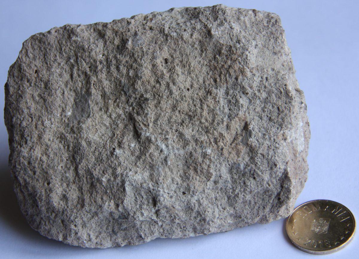 Conglomerat trahitic