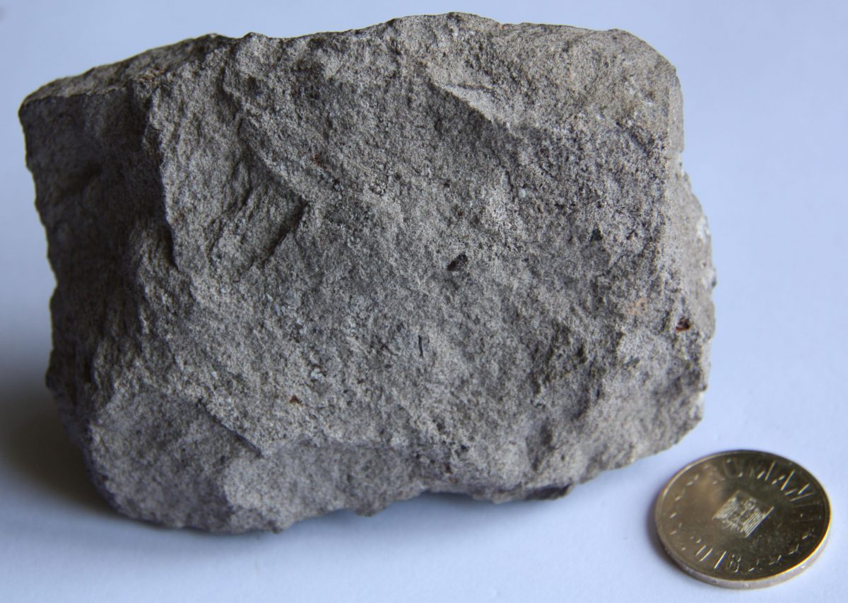 Conglomerat trahitic