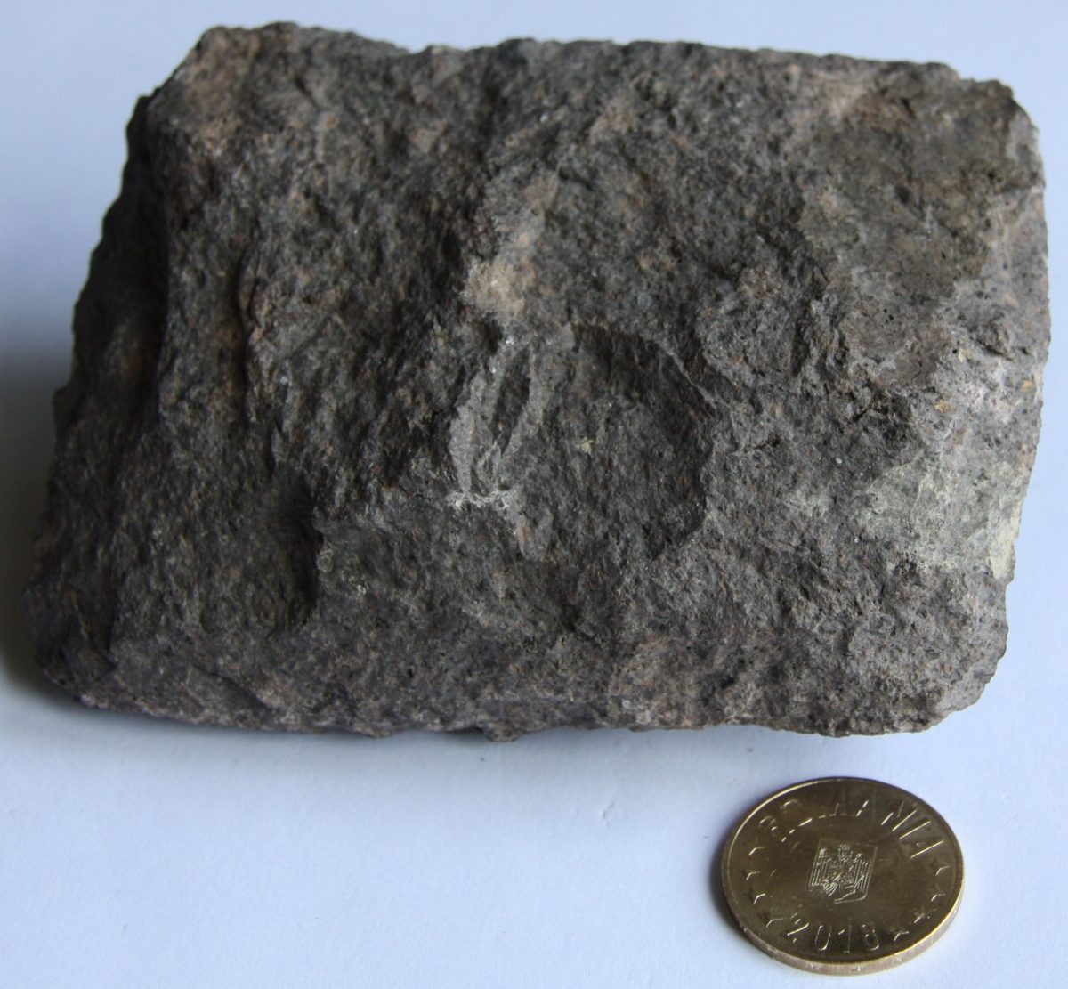 Porfir felsitic