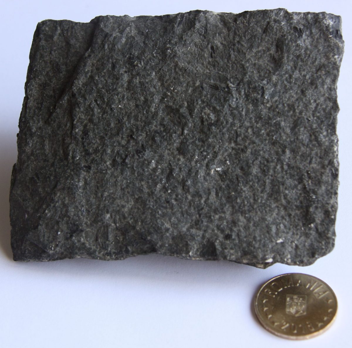 Fonolit
