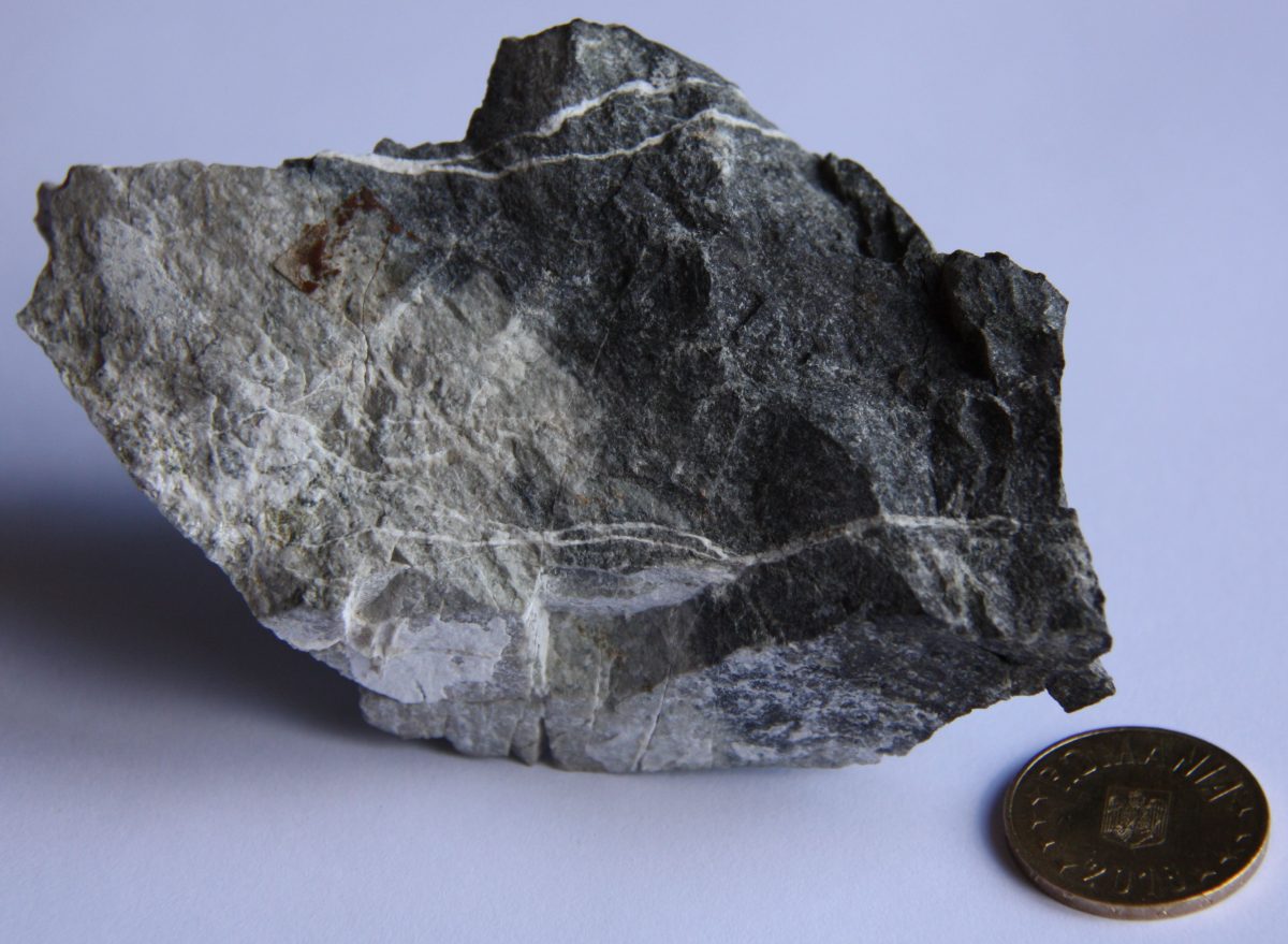 Porfir dioritic cu corneană şi skarn