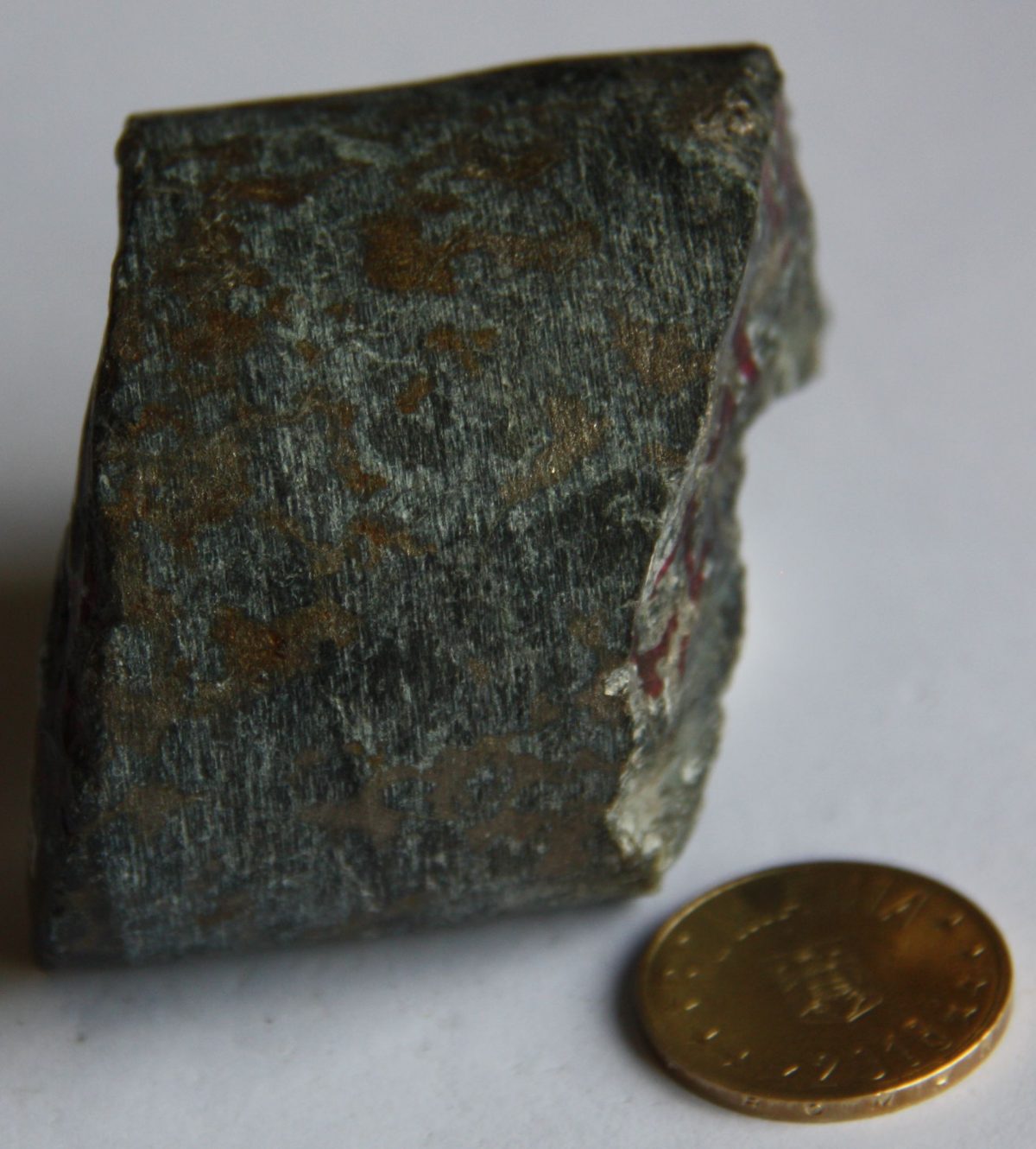 Brecie peridotitică