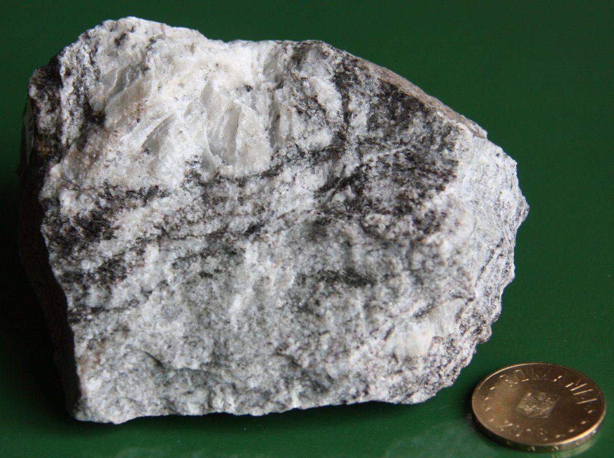 Ortognais