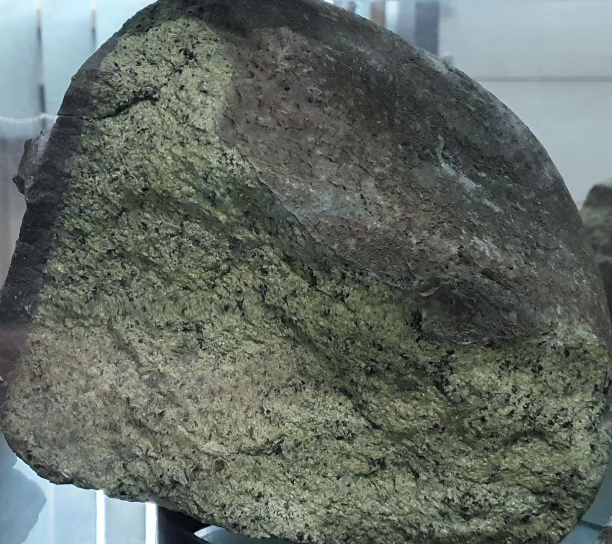 Xenolit peridotitic