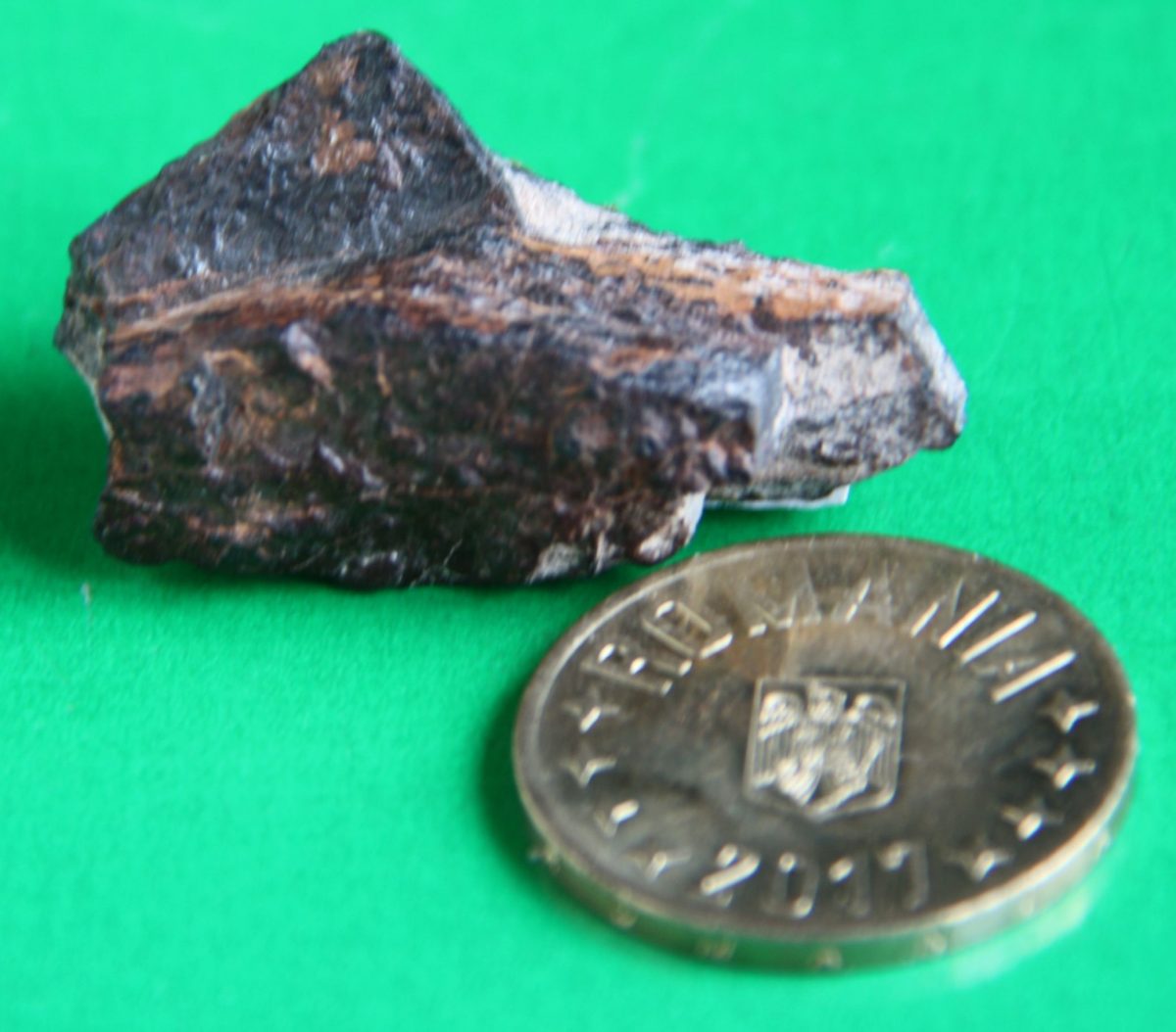 Meteorit