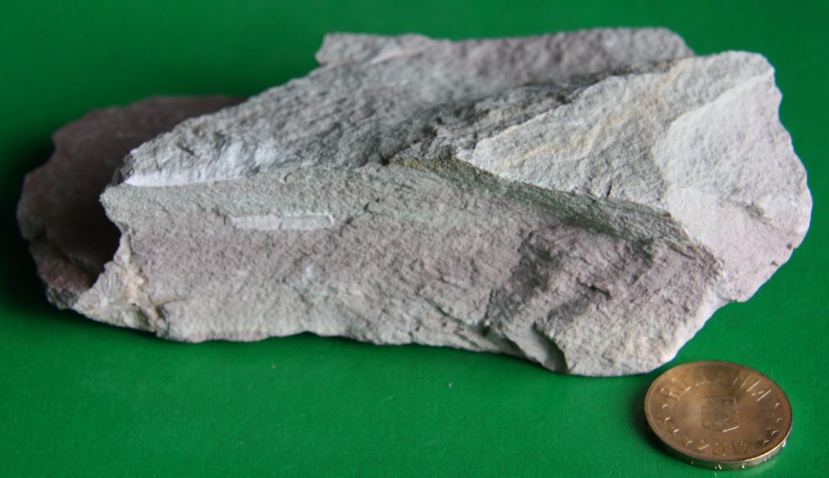 Şist micogrezos dolomitic