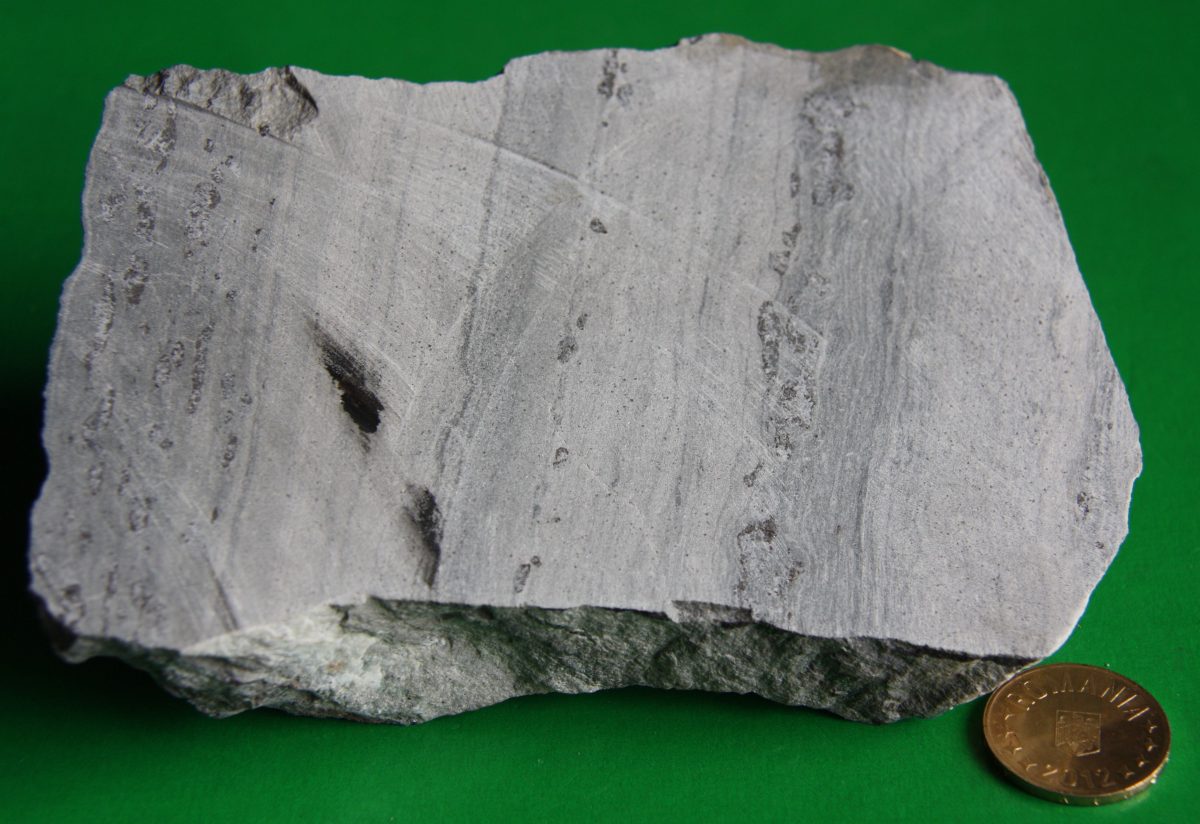 Şist dolomitic