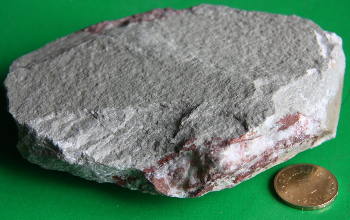 Şist microgrezos dolomitic