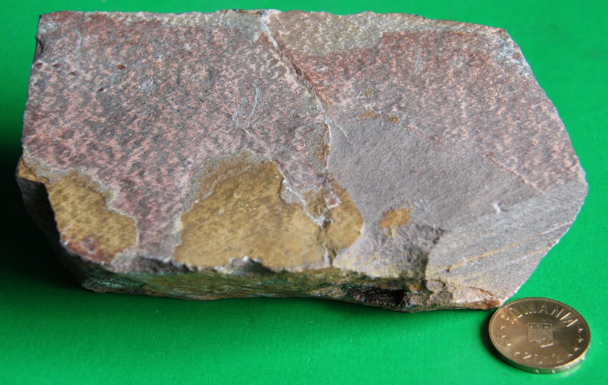 Şist microgrezos dolomitic mineralizat