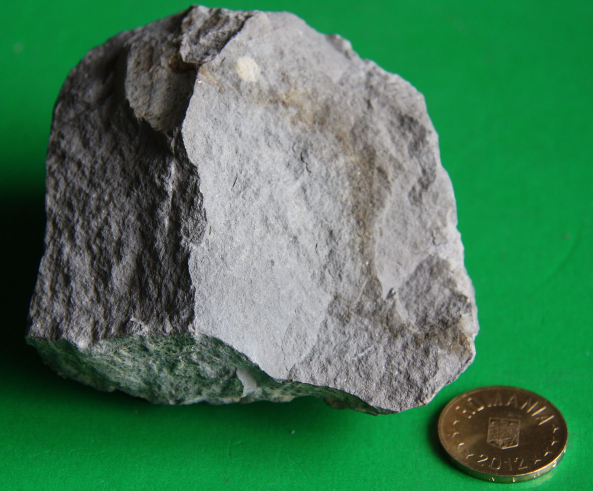 Şist microgrezos dolomitic
