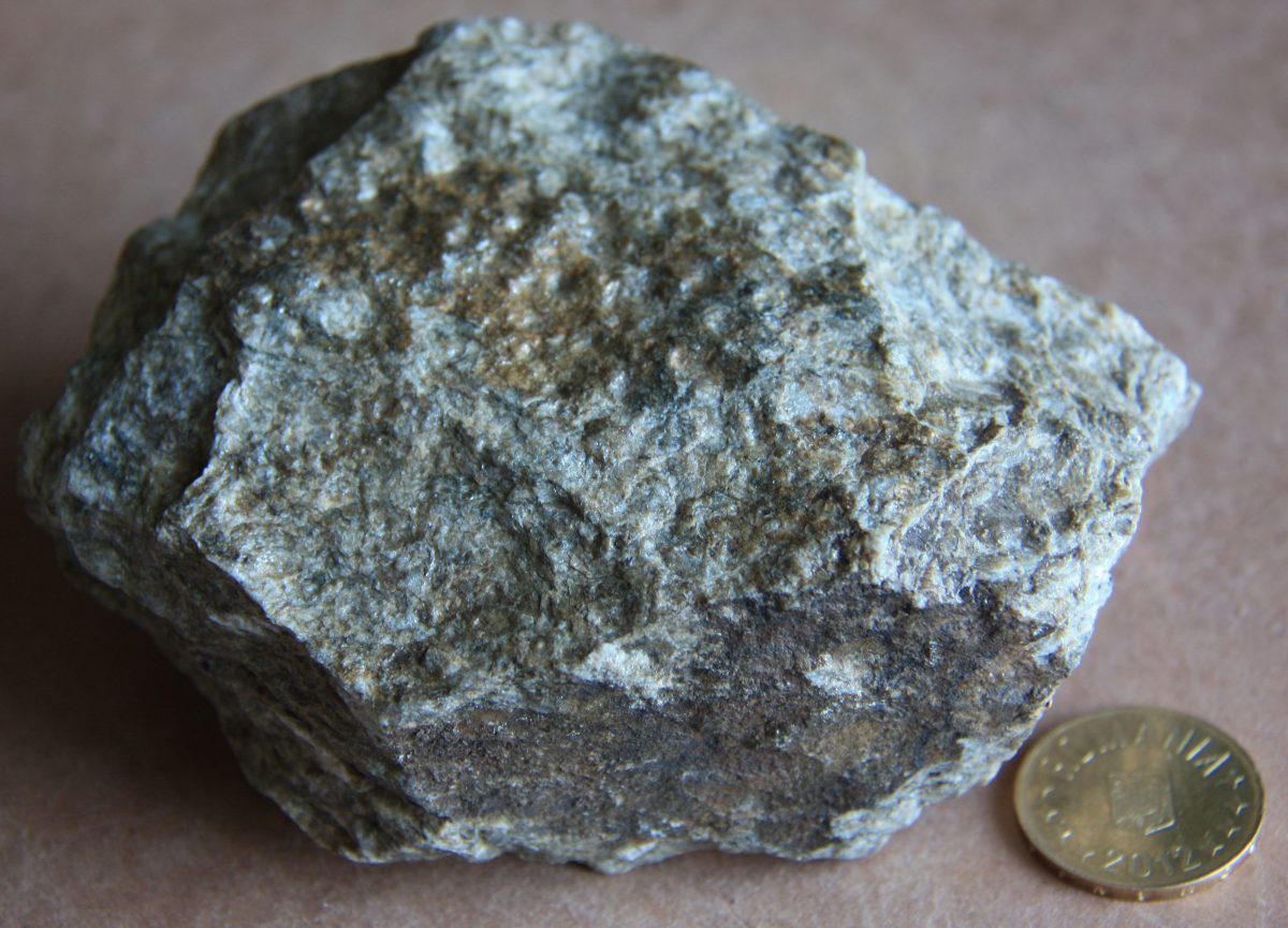 Ortognais