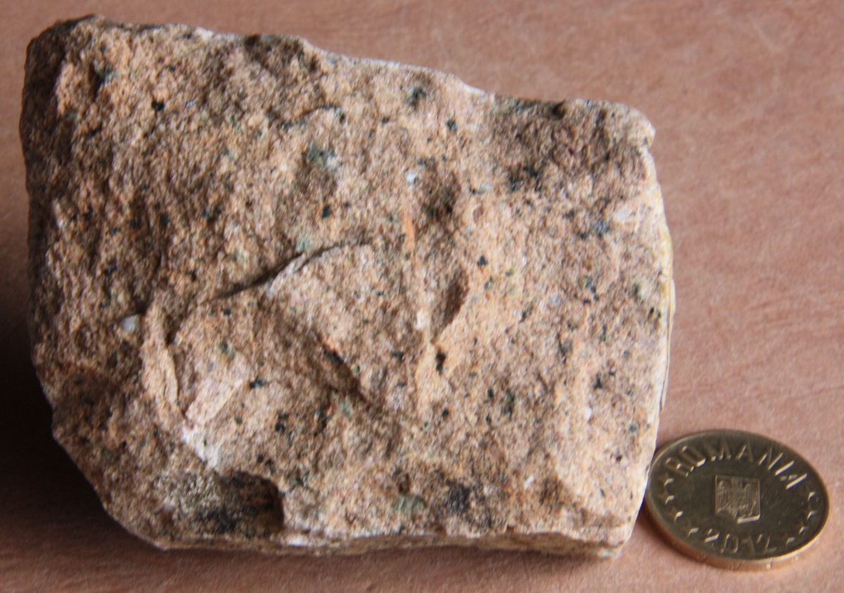 Microgranit