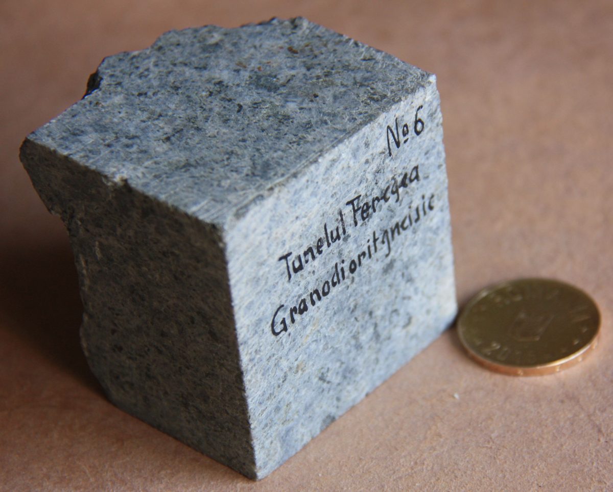 Granodiorit gnaisic