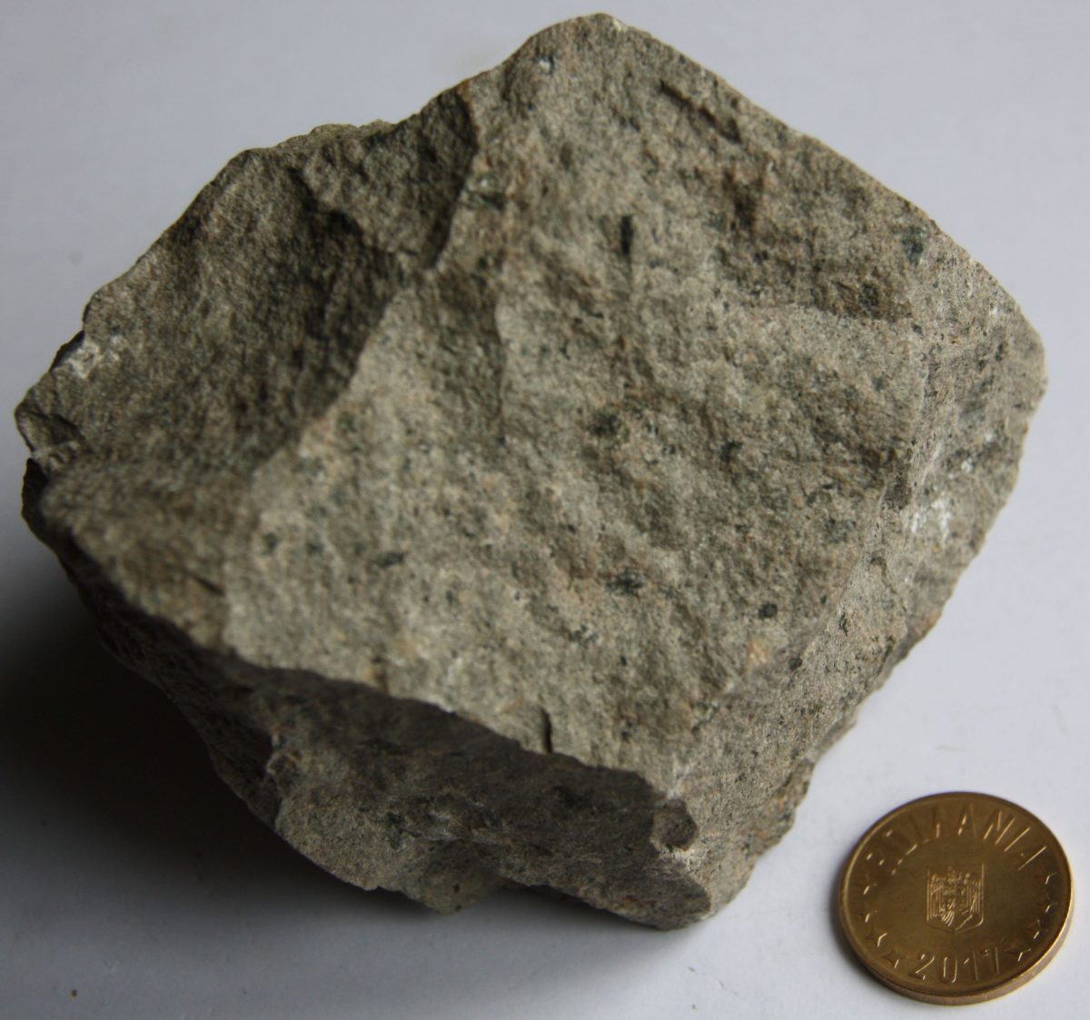 Microgranodiorit