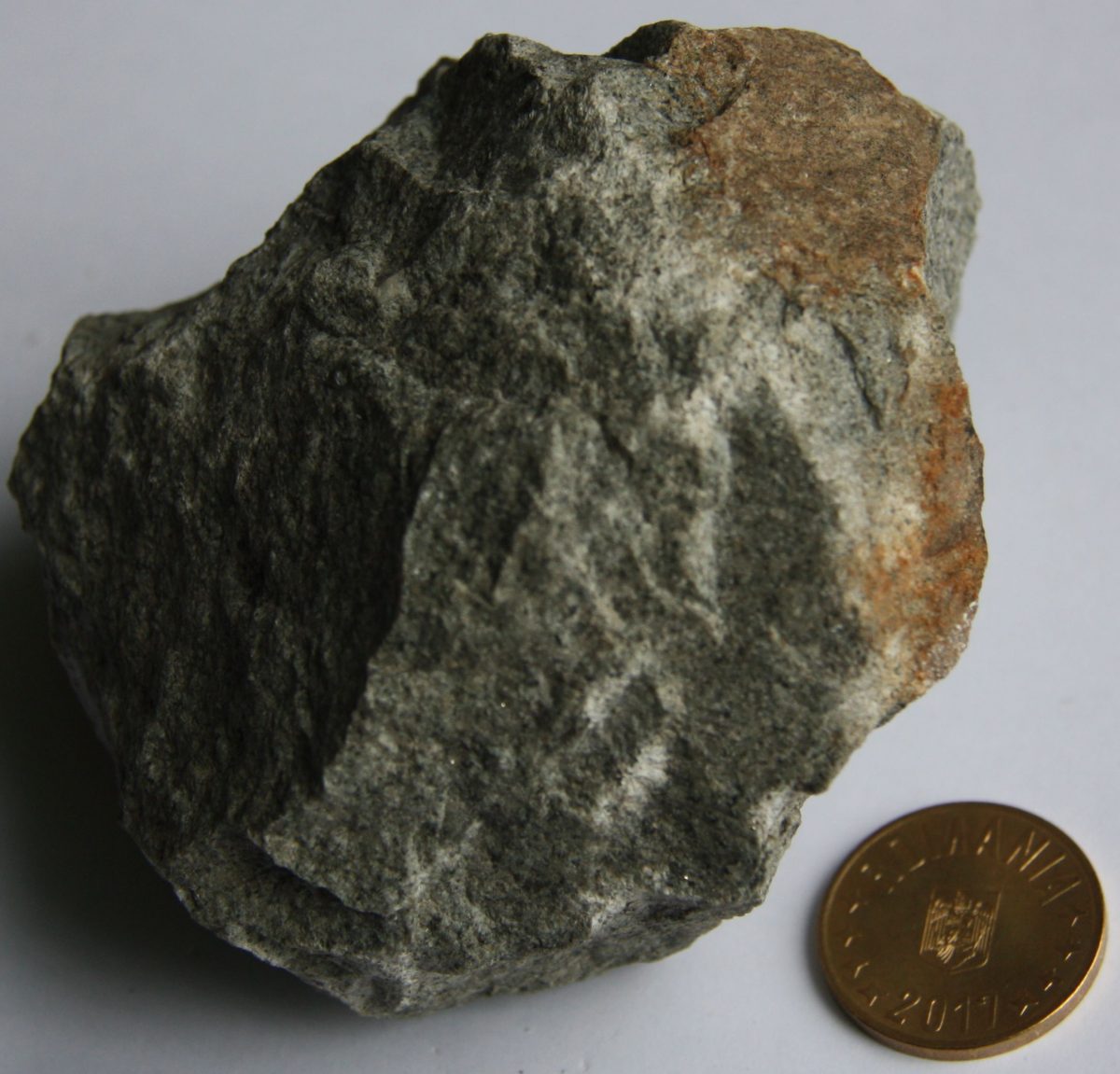 Microgranodiorit