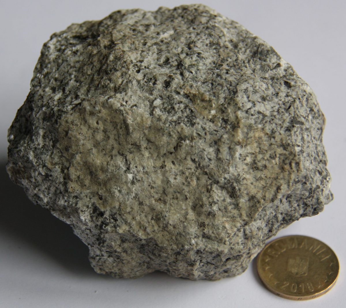 Monzodiorit