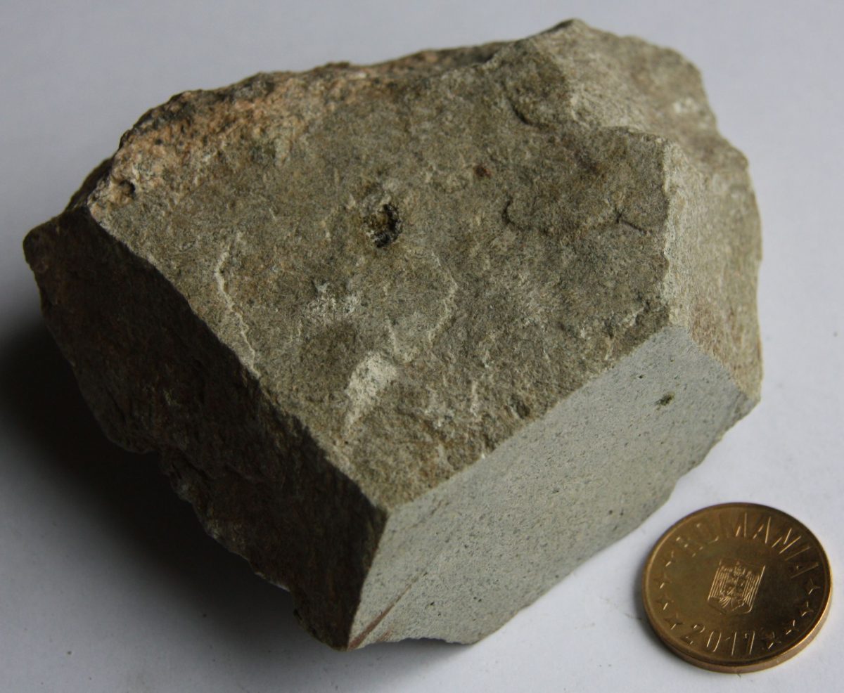 Microgranodiorit