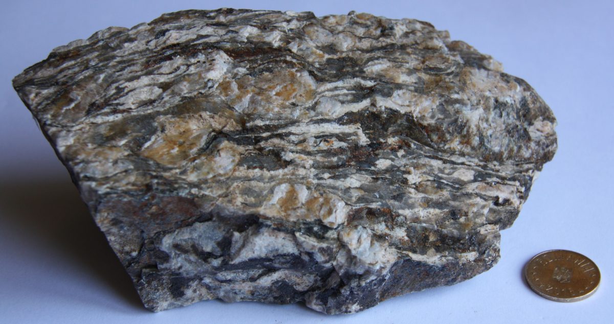 Ortognais