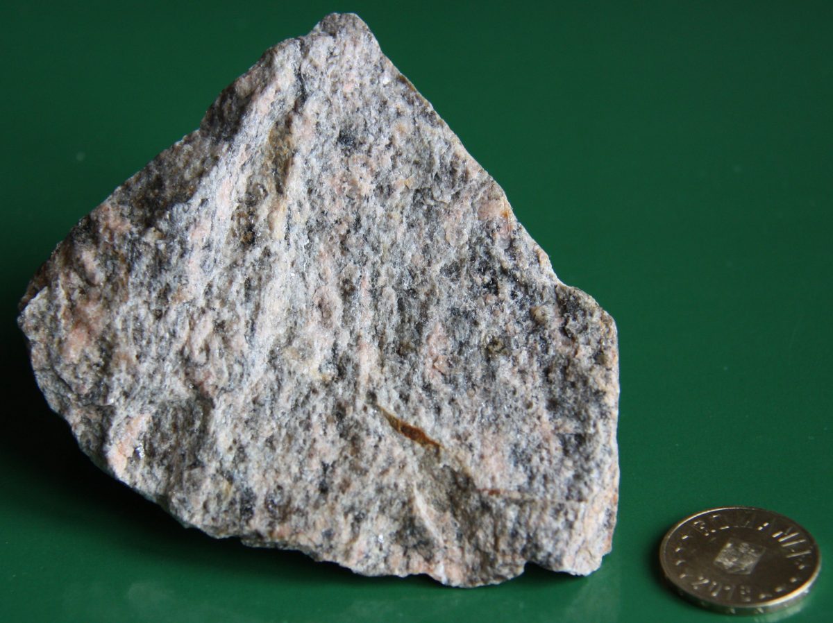 Leptinit