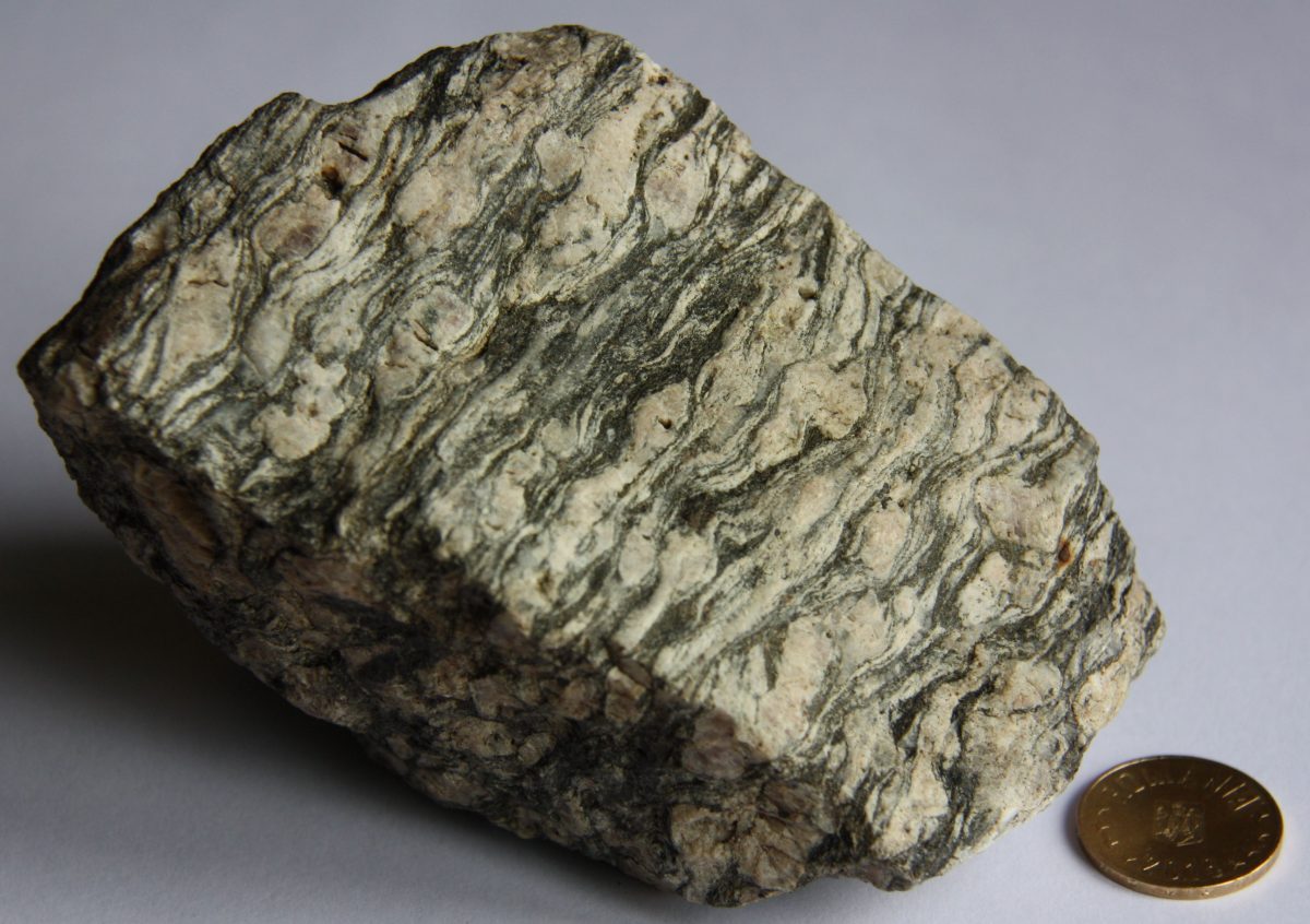 Ortognais