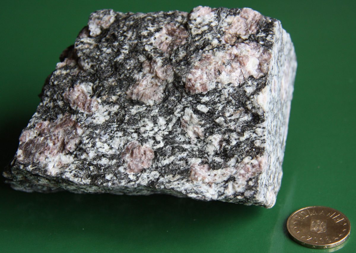 Ortognais