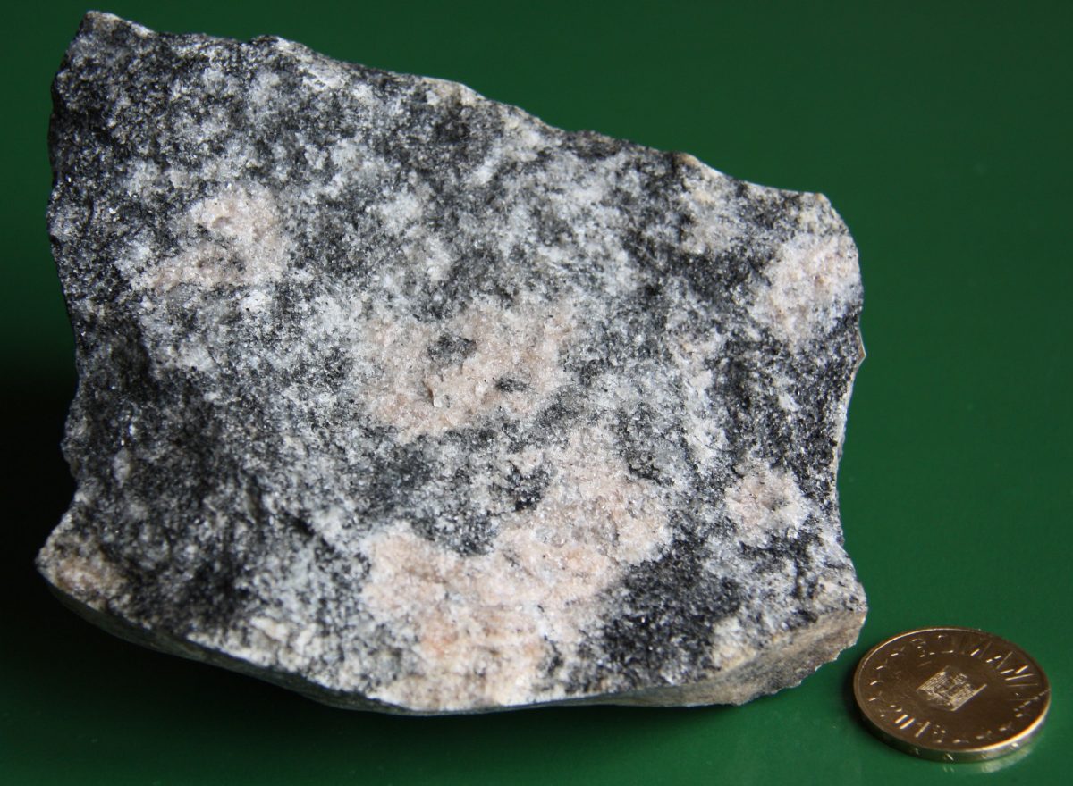 Ortognais