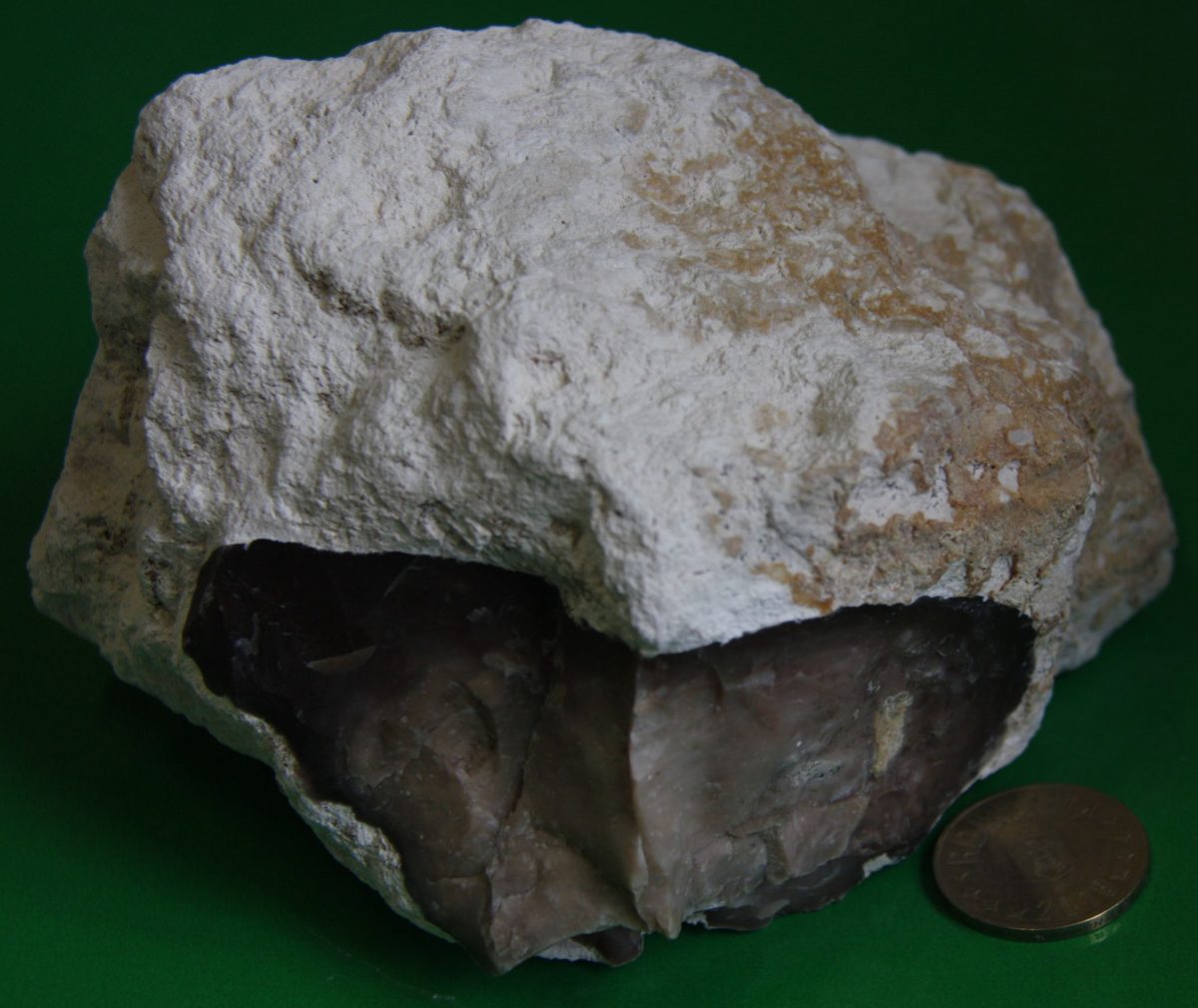 Nodul silicios