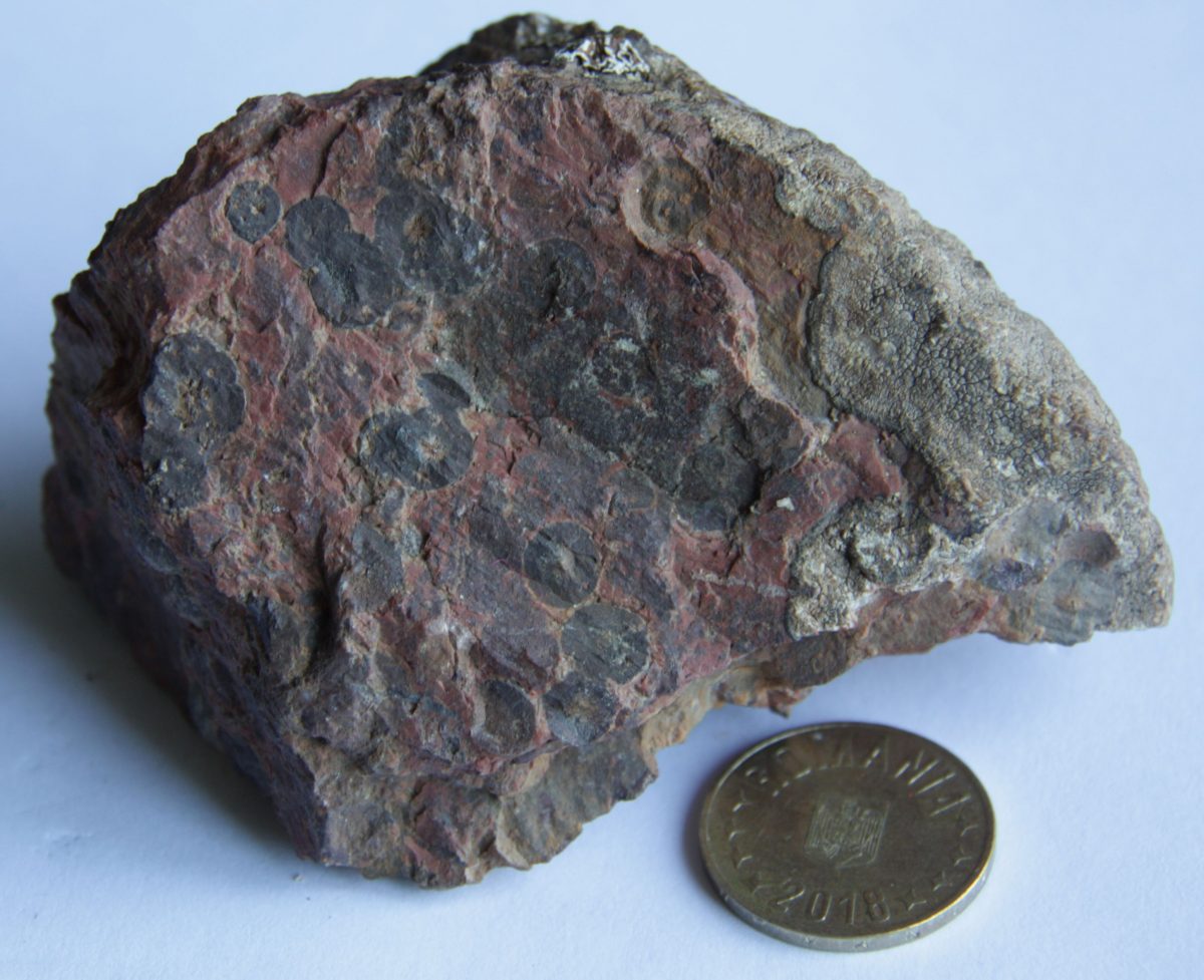 Pizolite granofirice