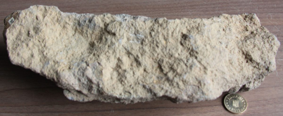 Aglomerat