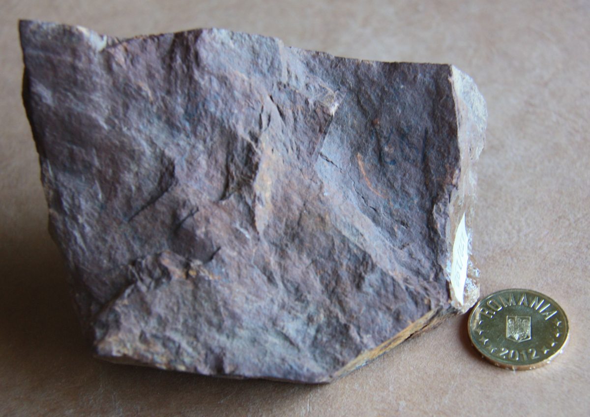 Jasp (var. Calcedonie)