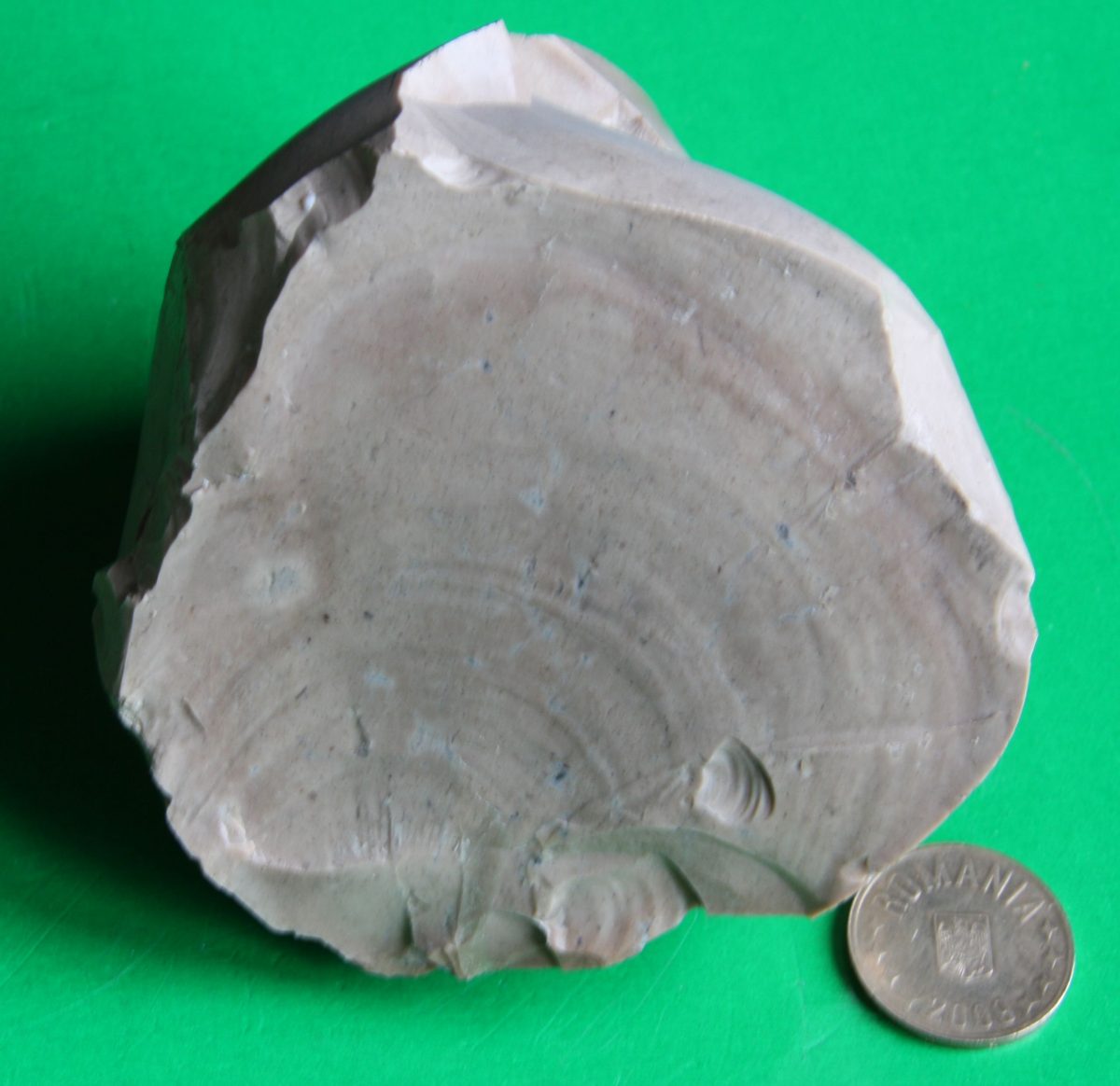 Opal