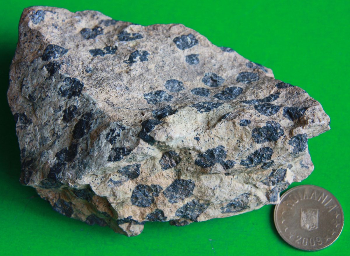 Cromit