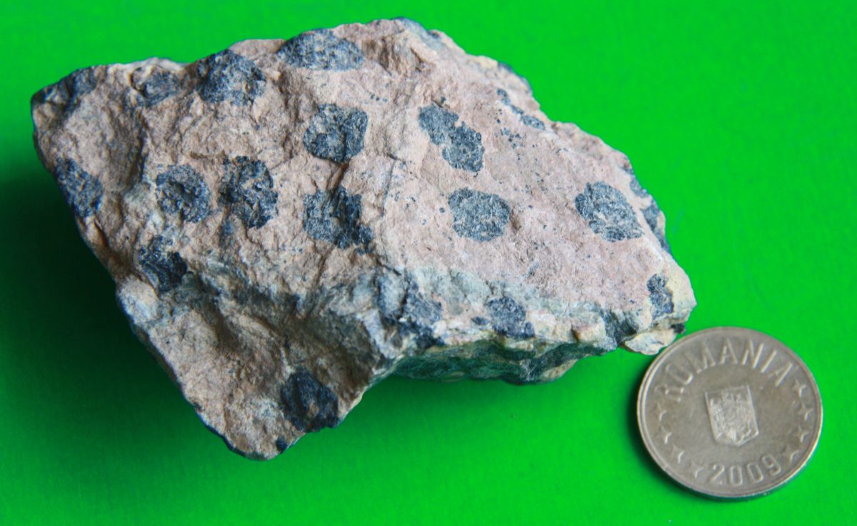 Cromit